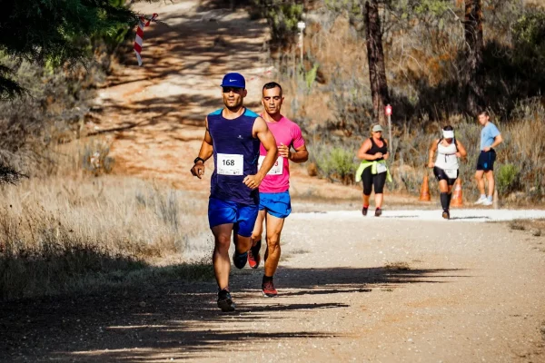 Runners competing in an outdoor marathon on a sunlit dirt road through a wooded area.