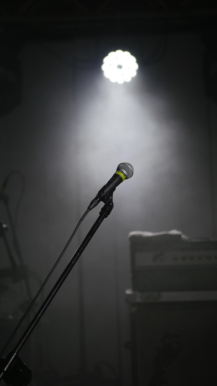 concert, microphone, event, light, replacement lamp, amplifier, microphone, microphone, microphone, microphone, microphone