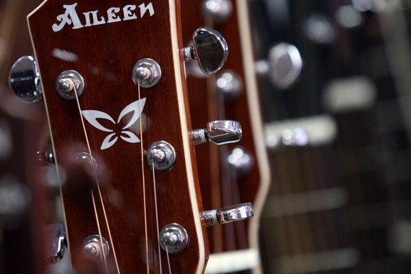 instrument, music, played, hobby, musician, classic, other