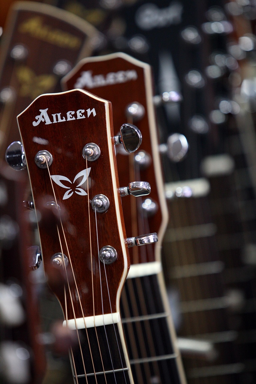 instrument, music, played, hobby, musician, classic, other