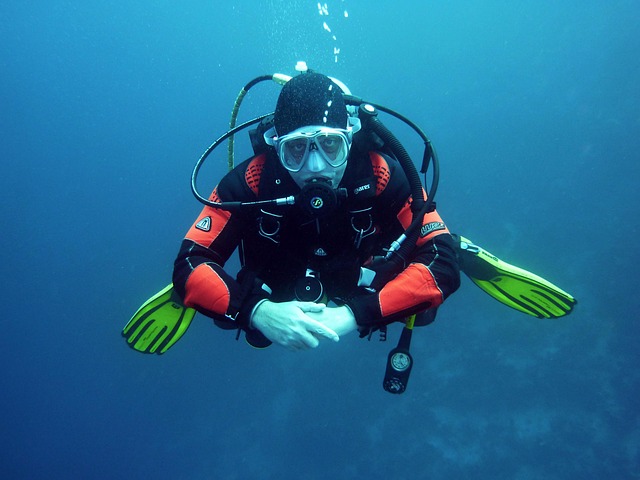 diver, scuba divers, dive, underwater, underwater world, diving suit, nature, sea, water, breathing apparatus, scuba diving, air bubbles, hover