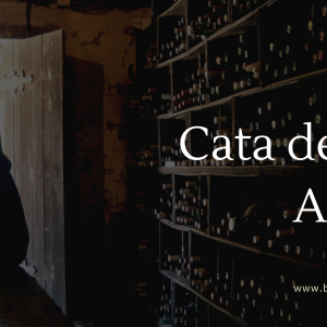 Cata de Vinos